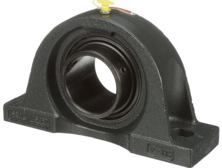 NPL-19