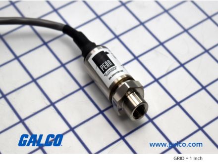 P499RCSS101C