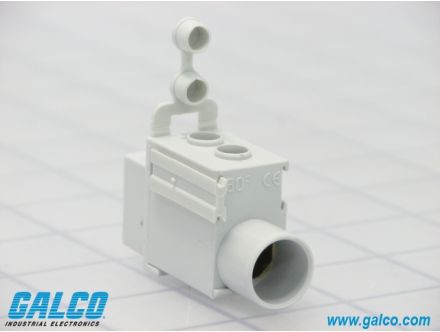 P50ULB