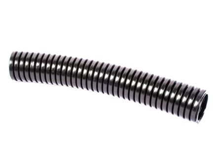 PACS42/BL/25M