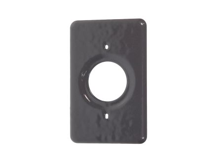 PBDS21