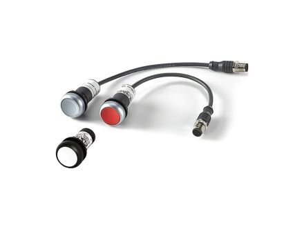 C22-DL-B-K10-24-P5
