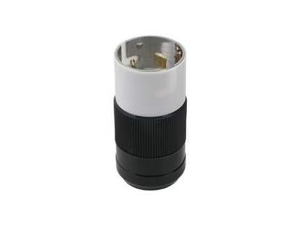 CS6365N