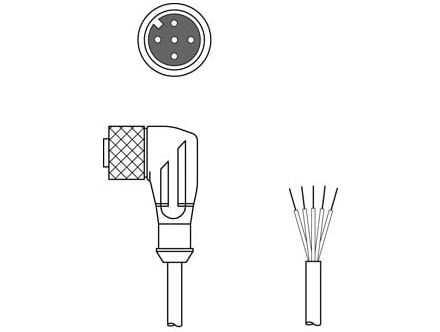 50133803