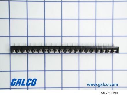 PR50008P559
