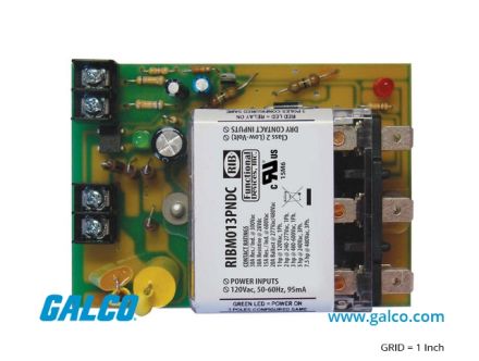 RIBM013PNDC