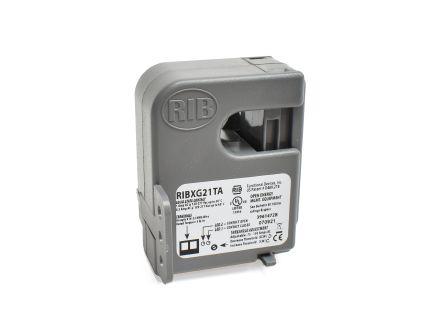 RIBXG21TA