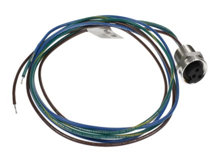 RKFV30-1M/NPT