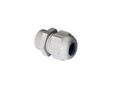 RNCG-M202