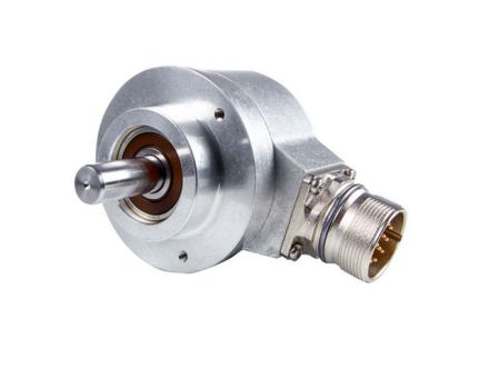 ROD486
