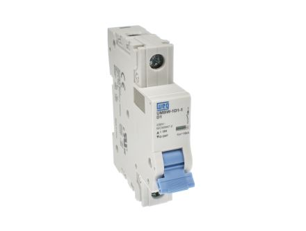 UMBW-1D1-1