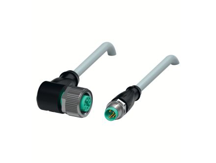 V1-W-2M-PUR-V31-GM
