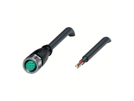 V19-G-BK25M-PUR-U/ABG