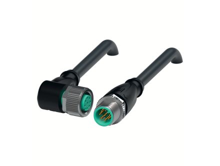 V19-W-BK5M-PUR-U/ABG-V19G