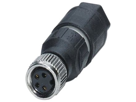 V31-GM-Q4