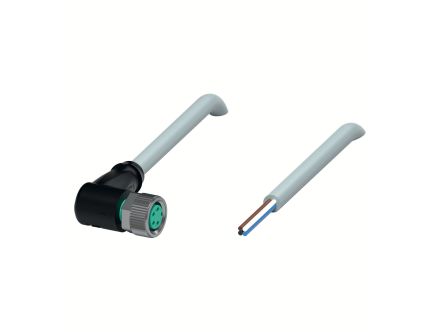 V31-WM-5M-PUR