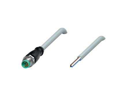 V31S-GM-5M-PUR