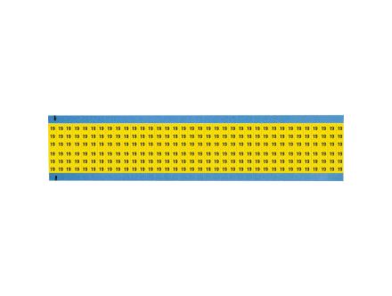 WM-19-YL-SC-PK