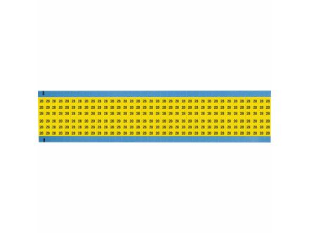 WM-28-YL-SC-PK