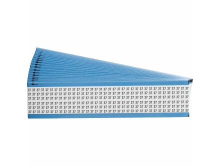 WM-37-PK