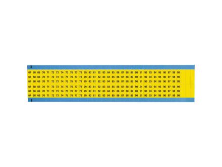 WM-67-99-YL-SC-PK